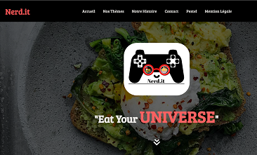 nerdit_website_card