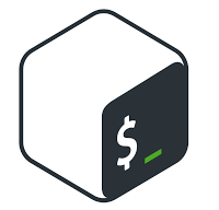 shell_card